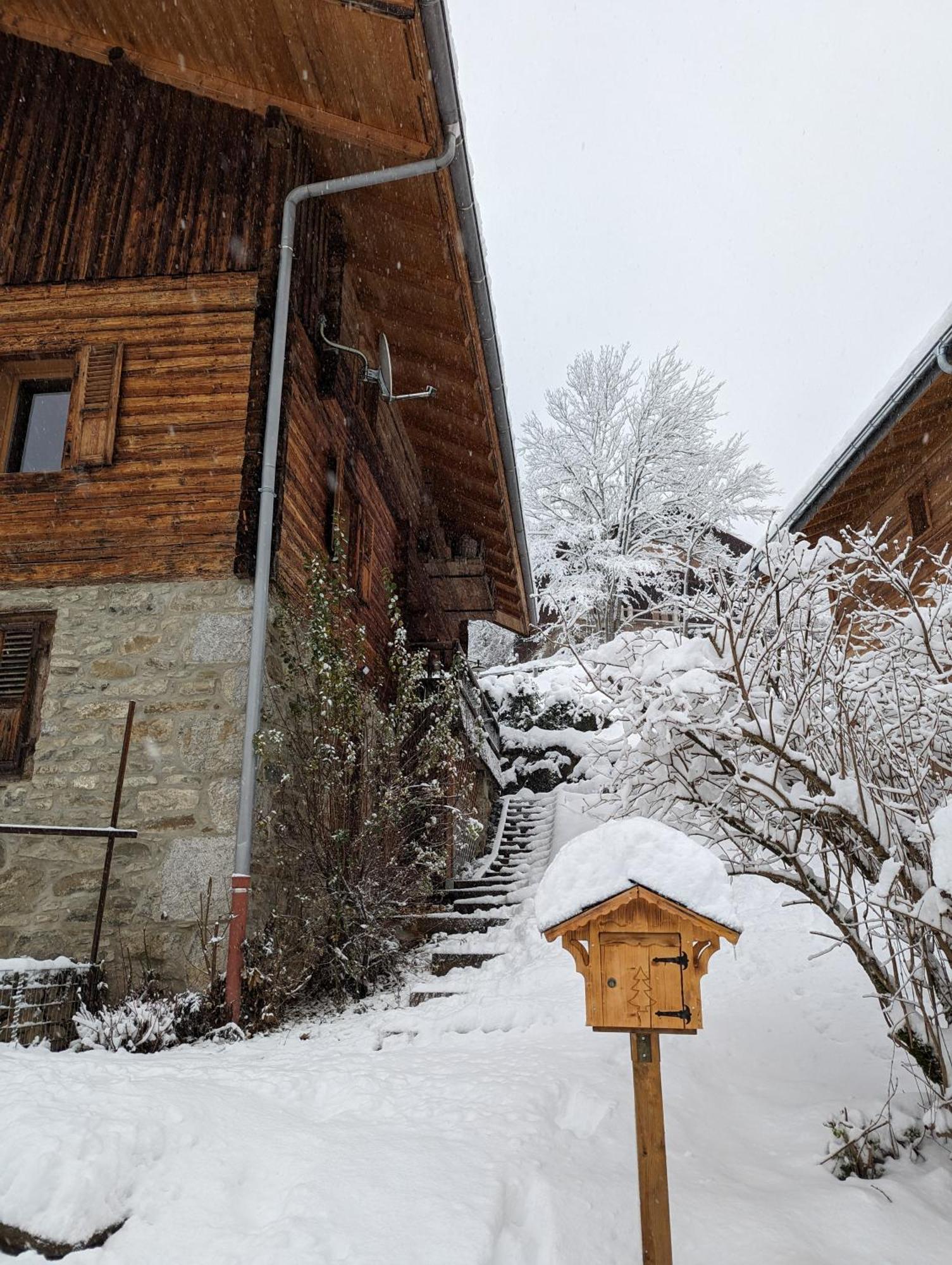Bas De Chalet Au Coeur Des Aravis, Entre Lac Et Montagne Saint-Jean-de-Sixt Eksteriør bilde